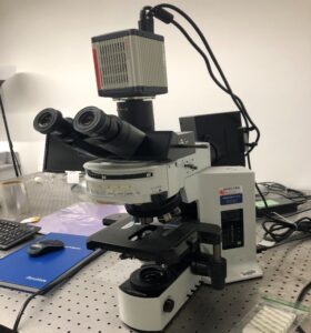 Advanced Optical Microscope with camera
